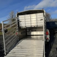 605203889_1458974972901178_7805435066834158632_n